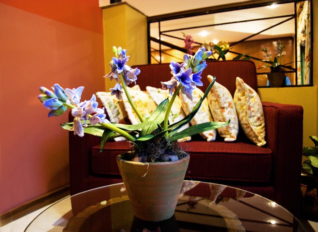 Hotel Bristol Асунсьон Экстерьер фото